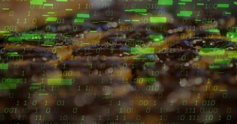 Macro roasted coffee beans showing green binary code overlay for tech-food concept