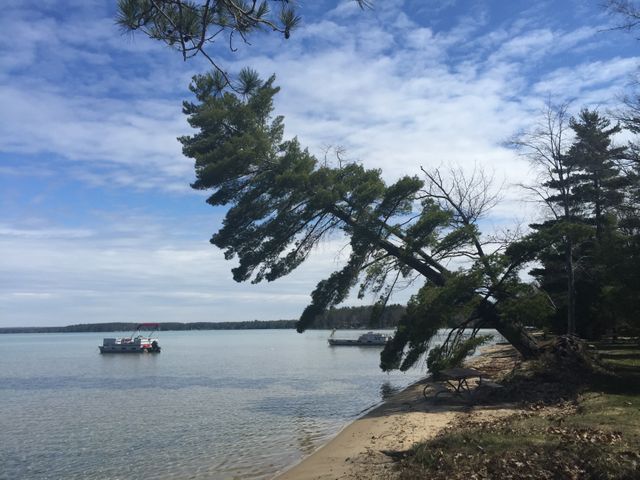 Outdoor scenery with a leaning pine tree by a calm lake under a blue sky with scattered clouds. Boats are anchored near the shore, and the sandy beach adds to the serene atmosphere. Ideal for nature, outdoor relaxation, tranquility, lakeside vacation themes, travel blogs, posters, and wallpapers.