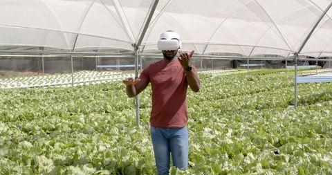 VR Technology in Modern Hydroponic Farming