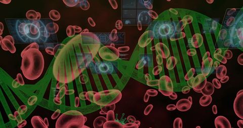 Digital Representation of DNA and Blood Cells in Medical Visualization - Download Free Stock Images Pikwizard.com