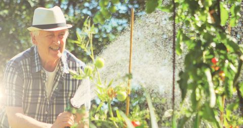 Joyful Senior Man Watering Lush Garden - Download Free Stock Images Pikwizard.com