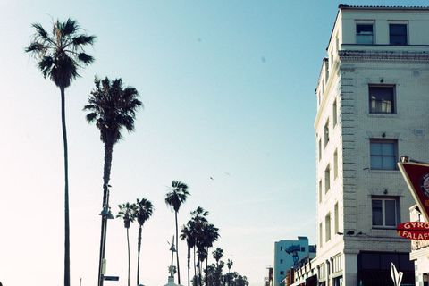 Palm Trees Lining Street Beside Historic Building at Sunset