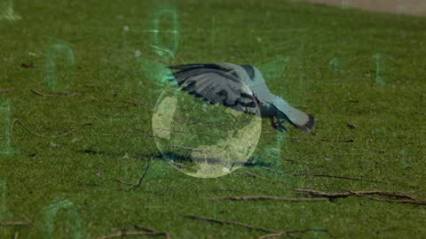 Pigeon in Flight Over Digital Globe Representing Global Technology