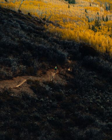 Cyclist riding along forest trail against stunning autumn landscape