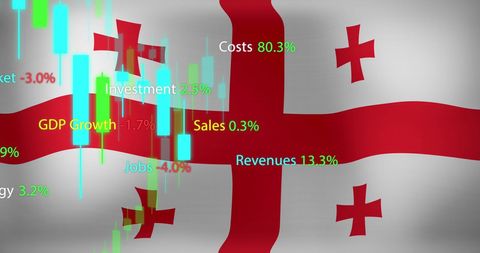 Economic Data Visualization Over Georgia Flag