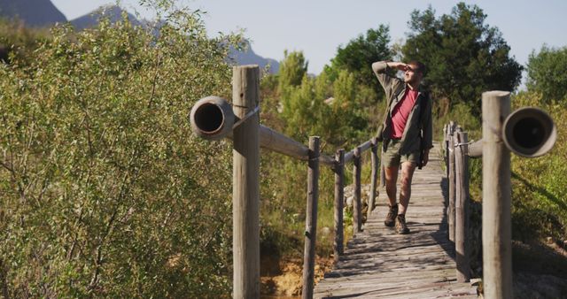 Male Hiker Exploring Scenic Trail in Mountains - Download Free Stock Images Pikwizard.com