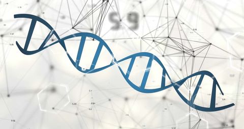 digital dna strand with geometric network connections - Download Free Stock Images Pikwizard.com