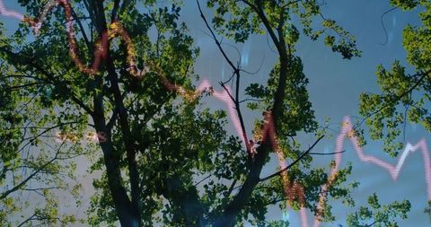 Abstract Nature Meets Technology with Neon Waveform Overlay