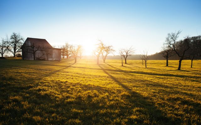 Sunset over a tranquil meadow with a barn and scattered trees, casting long shadows. Ideal for use in nature or rural-themed projects, promoting relaxation, peace, or countryside living. Perfect for backgrounds, promotional materials, environmental campaigns, or wellness blogs.