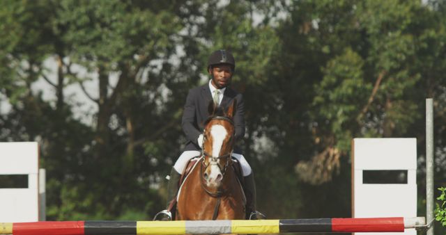 Professional Equestrian Show Jumping Horse Over Barrier in Competition - Download Free Stock Images Pikwizard.com