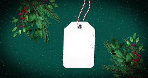 Festive christmas gift tag with copy space on green background