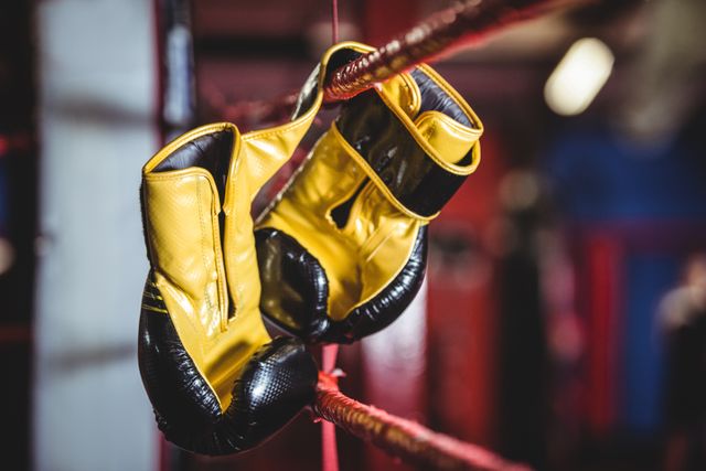 Yellow boxing gloves hanging on the ropes of a boxing ring in a gym. Ideal for use in articles or advertisements related to fitness, boxing, sports equipment, and athletics. Also suitable for promotional materials for boxing gyms or athletic training programs.