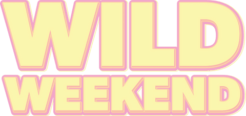 Wild Weekend Text on Transparent Background Party Celebration Concept - Download Free Stock Videos Pikwizard.com