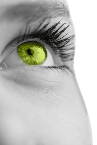 vector illustration green eye om transparent background - Download Free Stock Videos Pikwizard.com