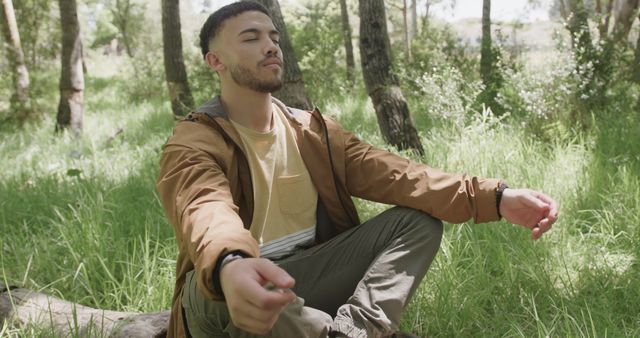 Man Meditating in Forest on Sunny Day - Download Free Stock Images Pikwizard.com