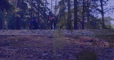 Cyclists pedaling through serene pine forest trail for adventure