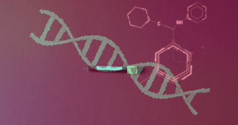 digital dna representation with chemical molecular structures - Download Free Stock Images Pikwizard.com