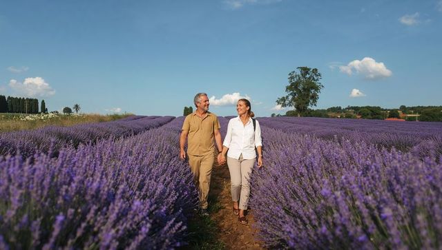 Mature couple walking hand-in-hand through sunlit lavender fields, romantic countryside escape