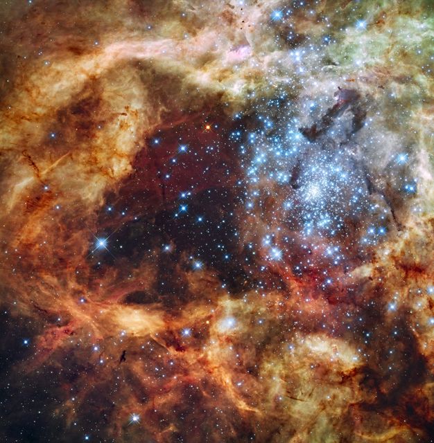 Large Star Cluster within Tarantula Nebula - Download Free Stock Photos Pikwizard.com