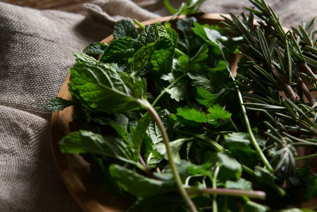Close-up of fresh herbs including mint, rosemary, and cilantro on a wooden plate. Ideal for use in culinary blogs, healthy eating articles, organic food promotions, and cooking tutorials.