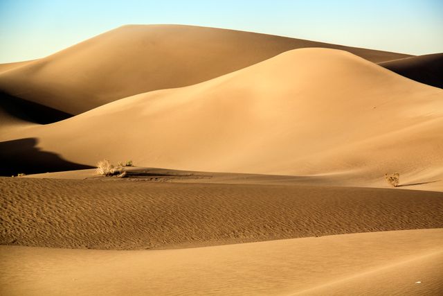 Endless Waves of Desert Sand Dunes at Dawn - Download Free Stock Photos Pikwizard.com