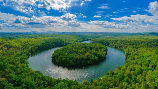 Aerial horseshoe river meander surrounding lush forested island with sunlit water and dramatic sky