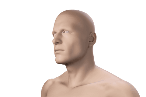 digital 3d human model on transparent background isolate concept - Download Free Stock Videos Pikwizard.com