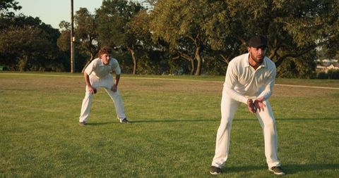 Cricket fielders crouching on sunlit park grass wearing white uniforms and black cap