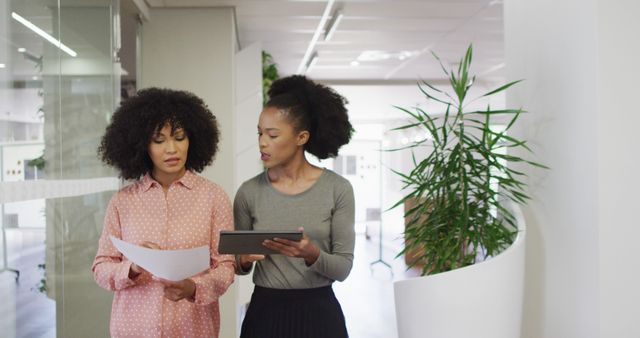 Two Professional Women Reviewing Documents in Modern Office - Download Free Stock Images Pikwizard.com