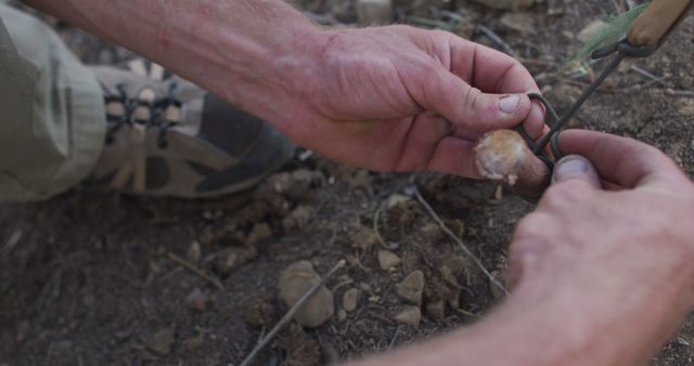 Hands Setting Up Survival Trap in Wilderness Close-Up - Download Free Stock Images Pikwizard.com