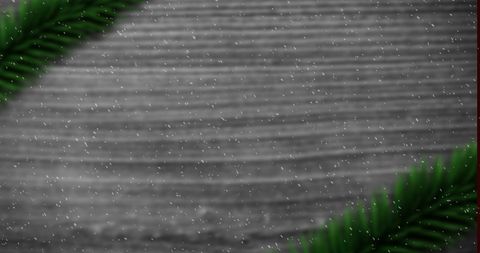 Snow falling with christmas tree branch decoration on wood