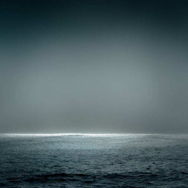 Serene Ocean Horizon with Gentle Light and Calm Atmosphere - Download Free Stock Photos Pikwizard.com