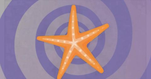 Vibrant Orange Starfish on Hypnotic Concentric Rings