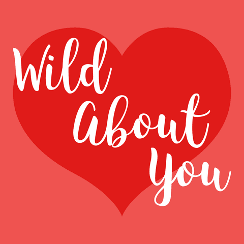 Wild about you love and romance transparent illustration