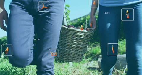 Couple Walking with Basket and Digital Ecology Icons