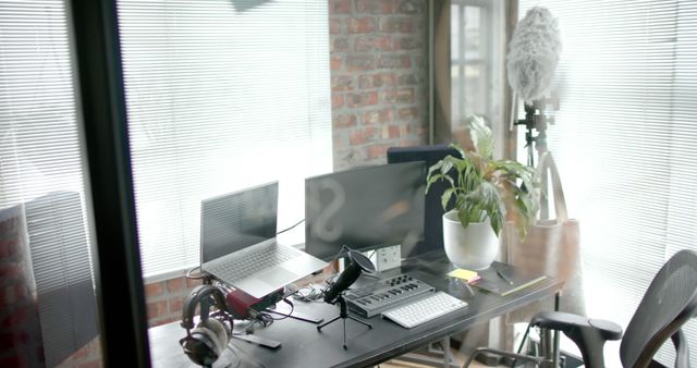 Modern Home Office with Podcast Equipment and Indoor Plant - Download Free Stock Images Pikwizard.com