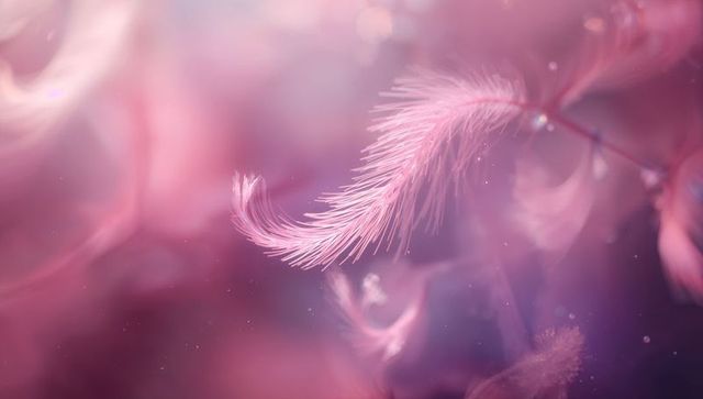 Floating delicate pink feather macro with soft bokeh, sparkles and pastel mauve tones