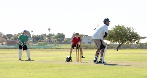 Cricket players practicing batting and bowling during team training on sunny suburban pitch
