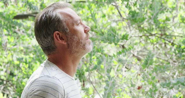 Mature Man Relaxing in Nature - Download Free Stock Images Pikwizard.com