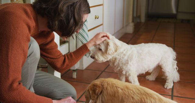 Smiling caucasian woman stroking her pet dogs eating from bowl in kitchen at home. lifestyle, pet, companionship and animal friendship concept.