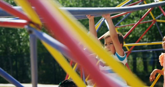 Children Playing on Jungle Gym Outdoors in Summer - Download Free Stock Images Pikwizard.com