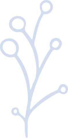 Minimalist lavender botanical sprig on transparent background