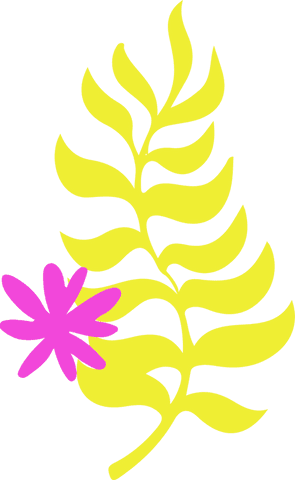 Bright Yellow Fern and Magenta Bloom on Transparent Background - Download Free Stock Videos Pikwizard.com