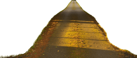 Transparent Road with Sunlight Shadows Creating a Glowing Pathway - Download Free Stock Videos Pikwizard.com