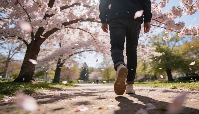 Walking under cherry blossoms, petals drifting around sneakers on sunlit park pathway