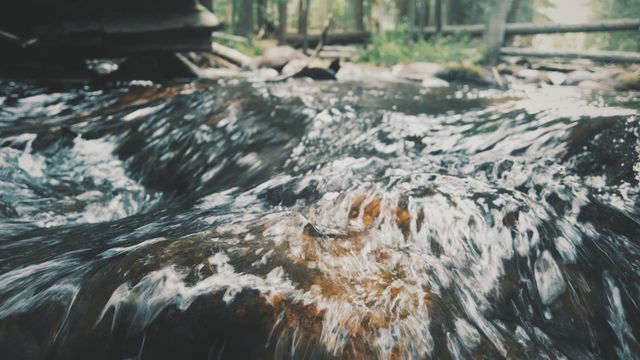 Close-up image of a rushing stream in a forest, capturing the movement and clear water. Perfect for use in environmental campaigns, nature blogs, travel brochures, and outdoor adventure advertisements. This image evokes a sense of tranquility and connection with nature.