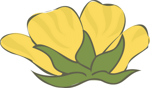 Transparent Minimalistic Yellow Flower Illustration on Poster