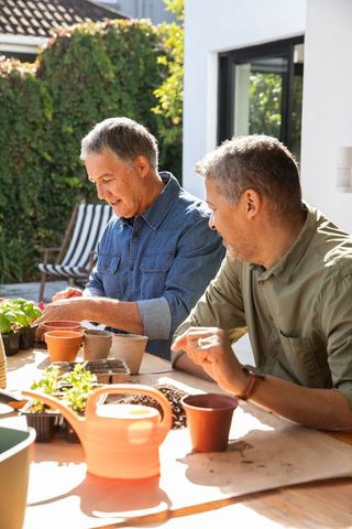 Senior friends enjoying gardening while transplanting seedlings outdoors
