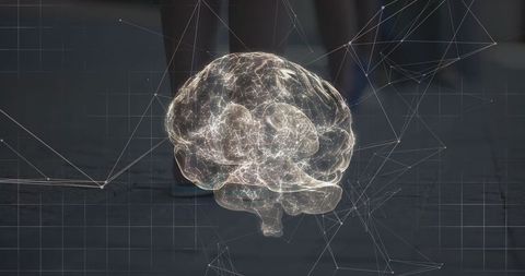 Holographic 3D Brain with Glowing Neural Network Over Dark Gridded Floor and Wireframe