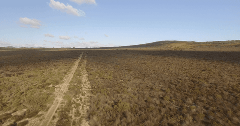 scenic transparent landscape of dry plains under clear sky - Download Free Stock Videos Pikwizard.com